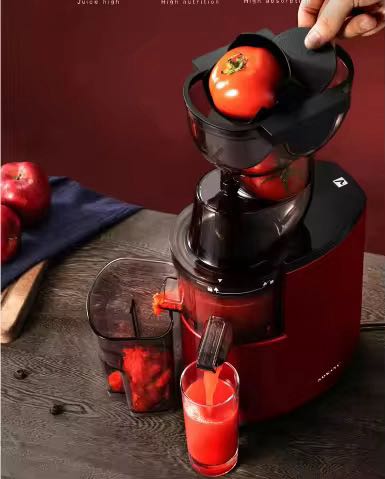 SLOW JUICER
